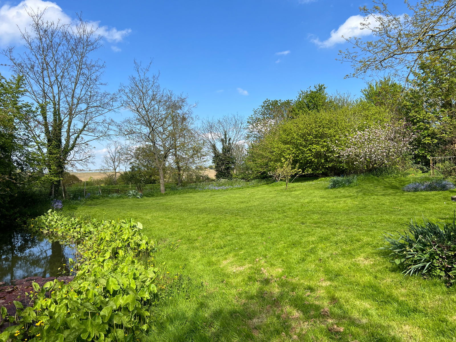 Thorndon, Near Eye, Suffolk property photo