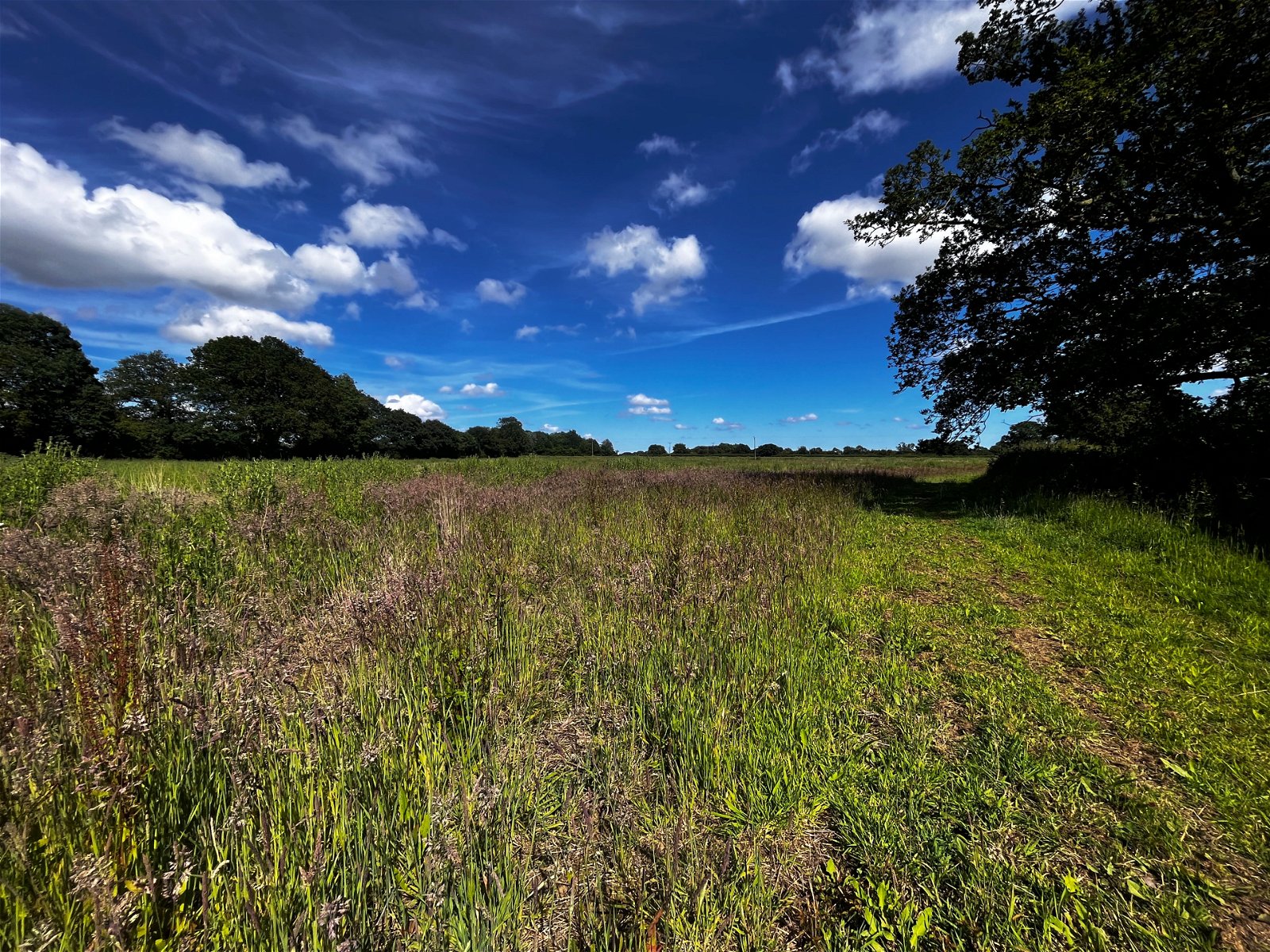 Land at Somersham, Nr Ipswich, Suffolk property photo