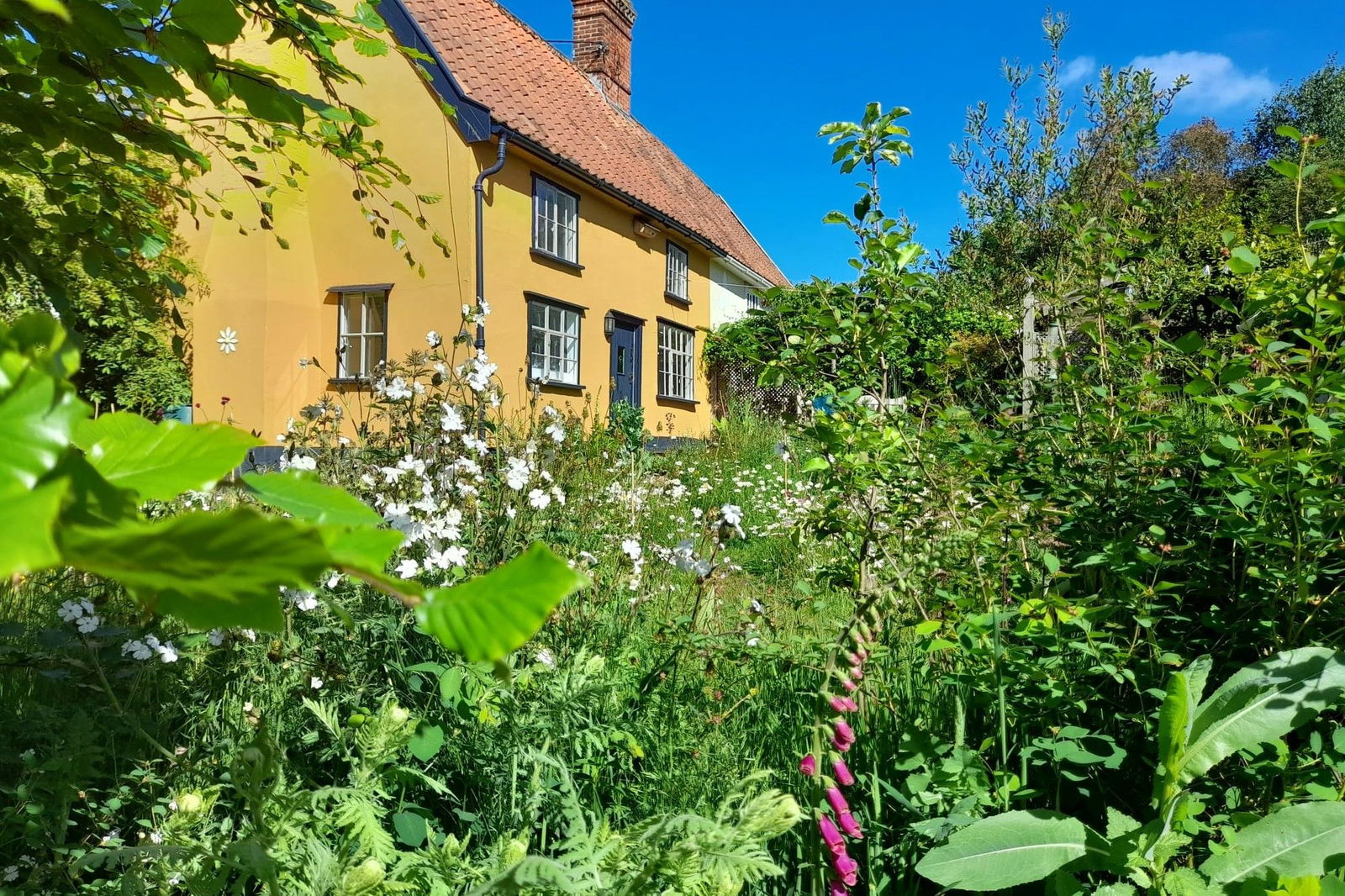 Peasenhall, Woodbridge, Suffolk property photo