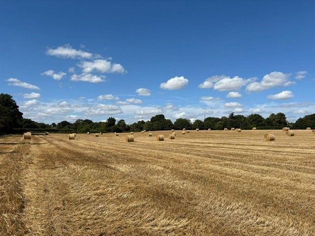 Sweffling, Nr Framlingham property photo