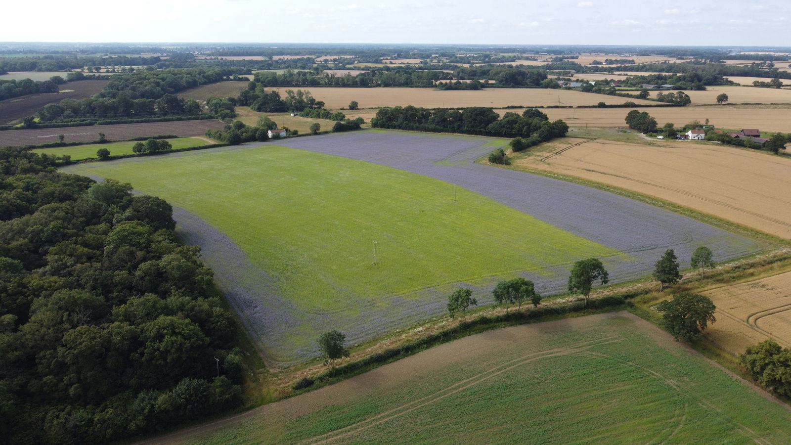 Sweffling, Nr Framlingham property photo