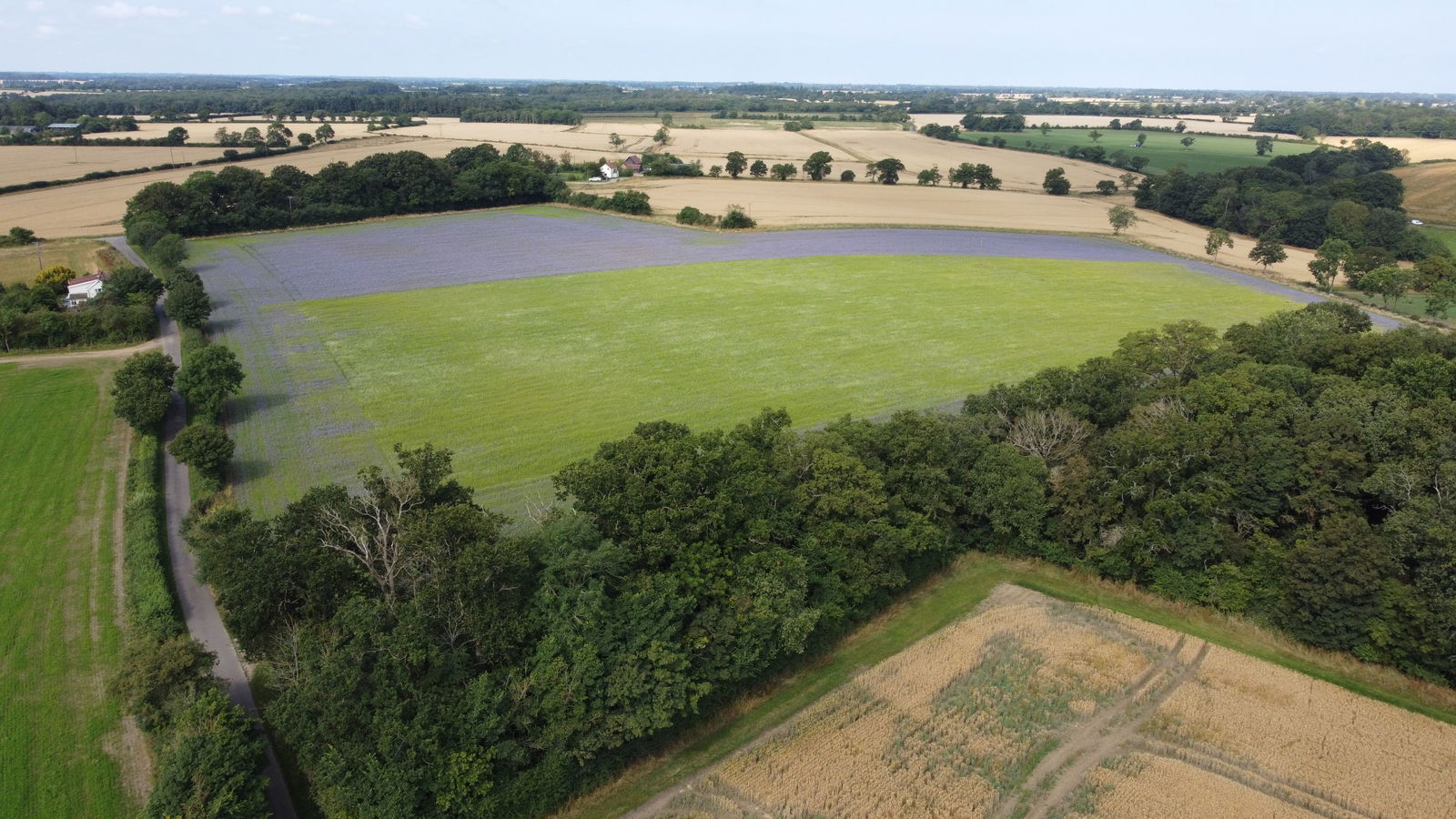 Sweffling, Nr Framlingham property photo