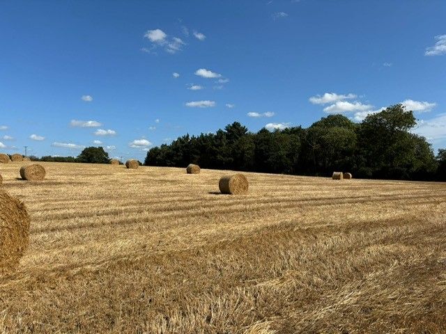 Sweffling, Nr Framlingham property photo