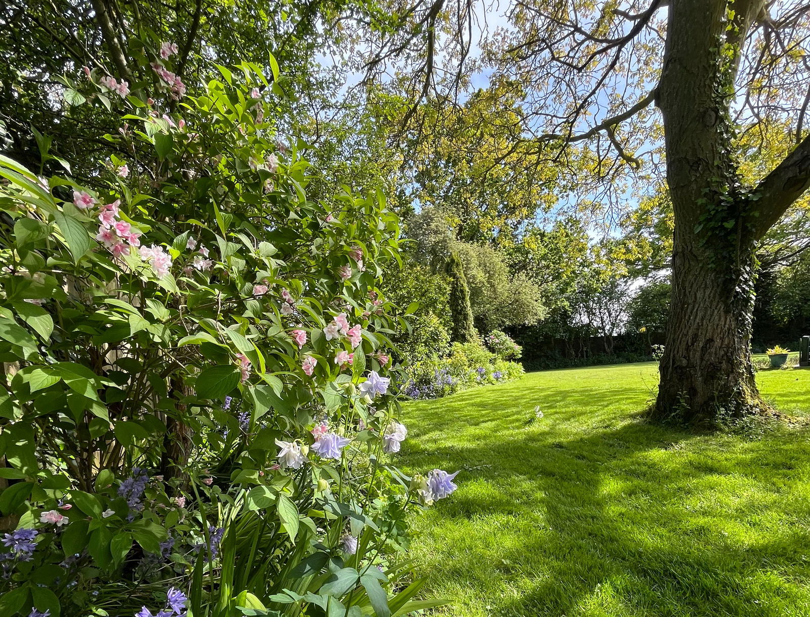 Aspall Green, Stowmarket, Suffolk property photo