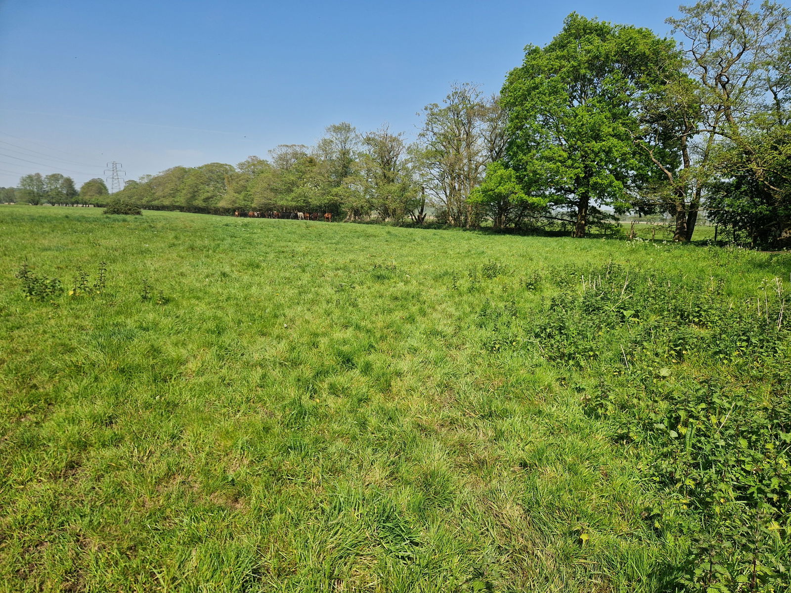 Land at Barsham, nr Beccles property photo