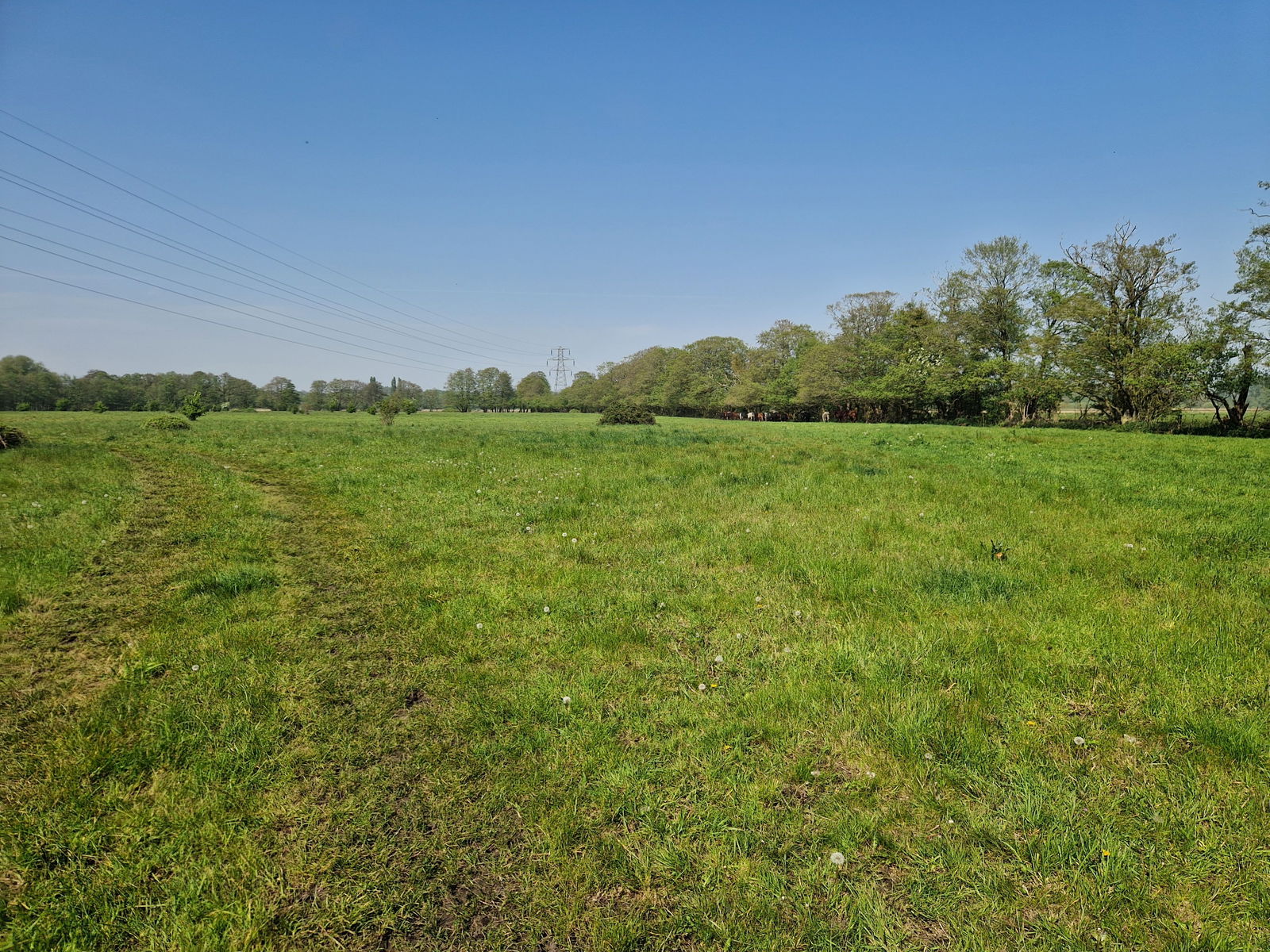 Land at Barsham, nr Beccles property photo