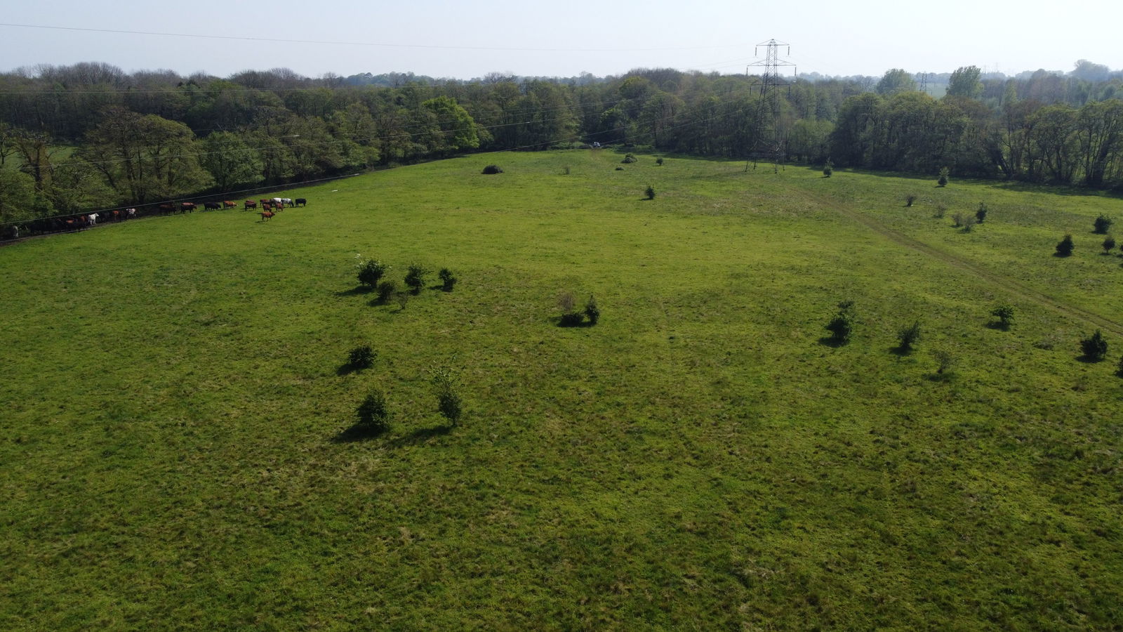 Land at Barsham, nr Beccles property photo