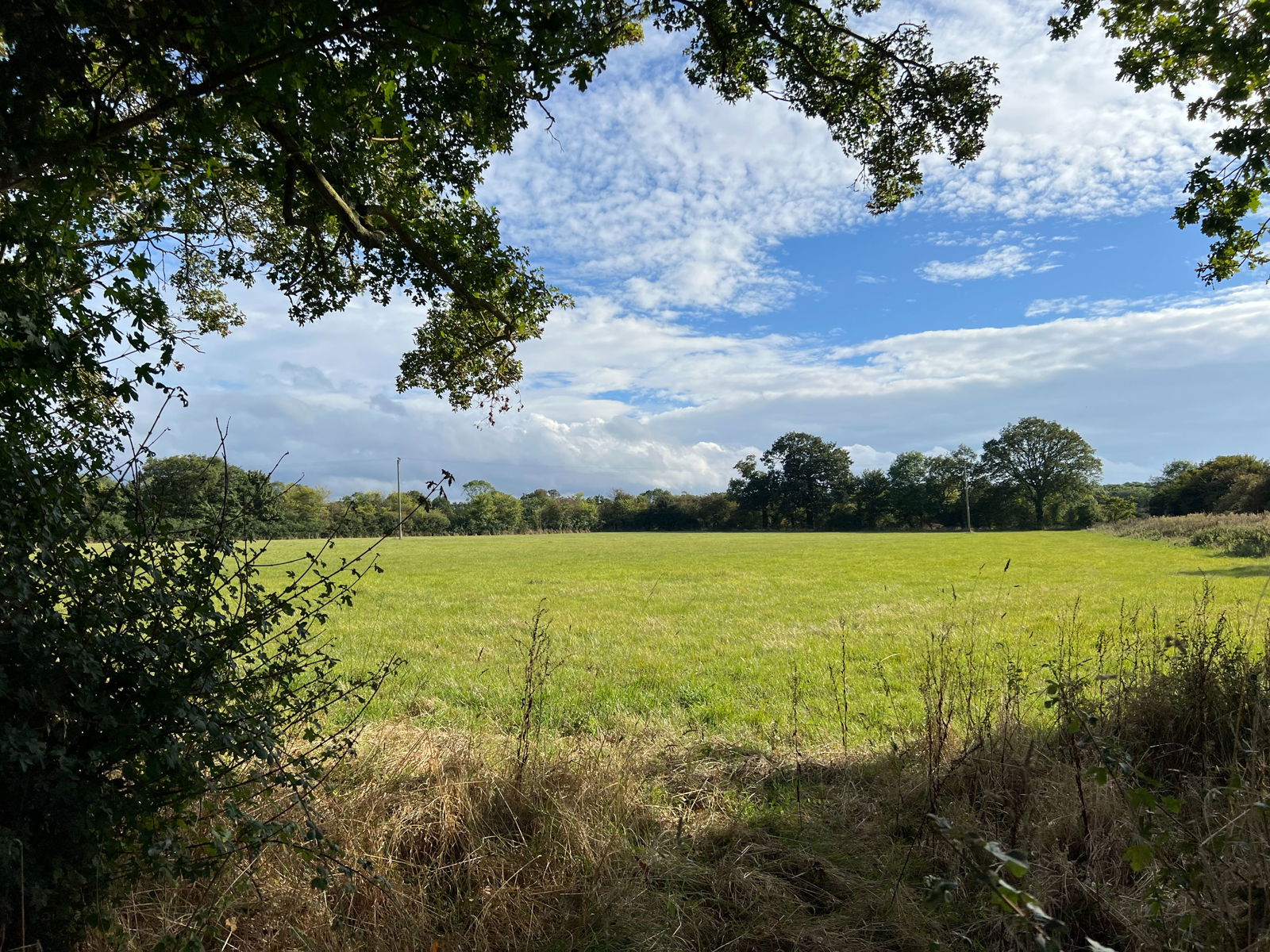 Thorington, Near Halesworth, Suffolk property photo