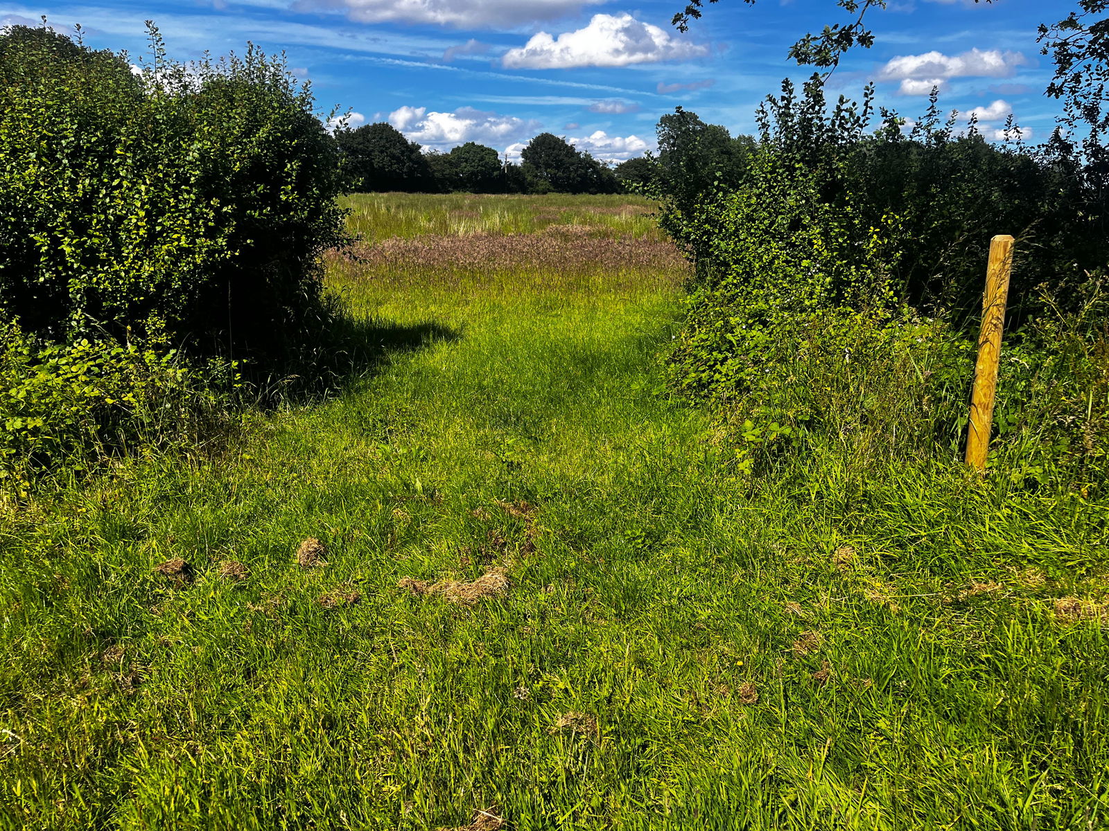 Land at Somersham, Nr Ipswich, Suffolk property photo