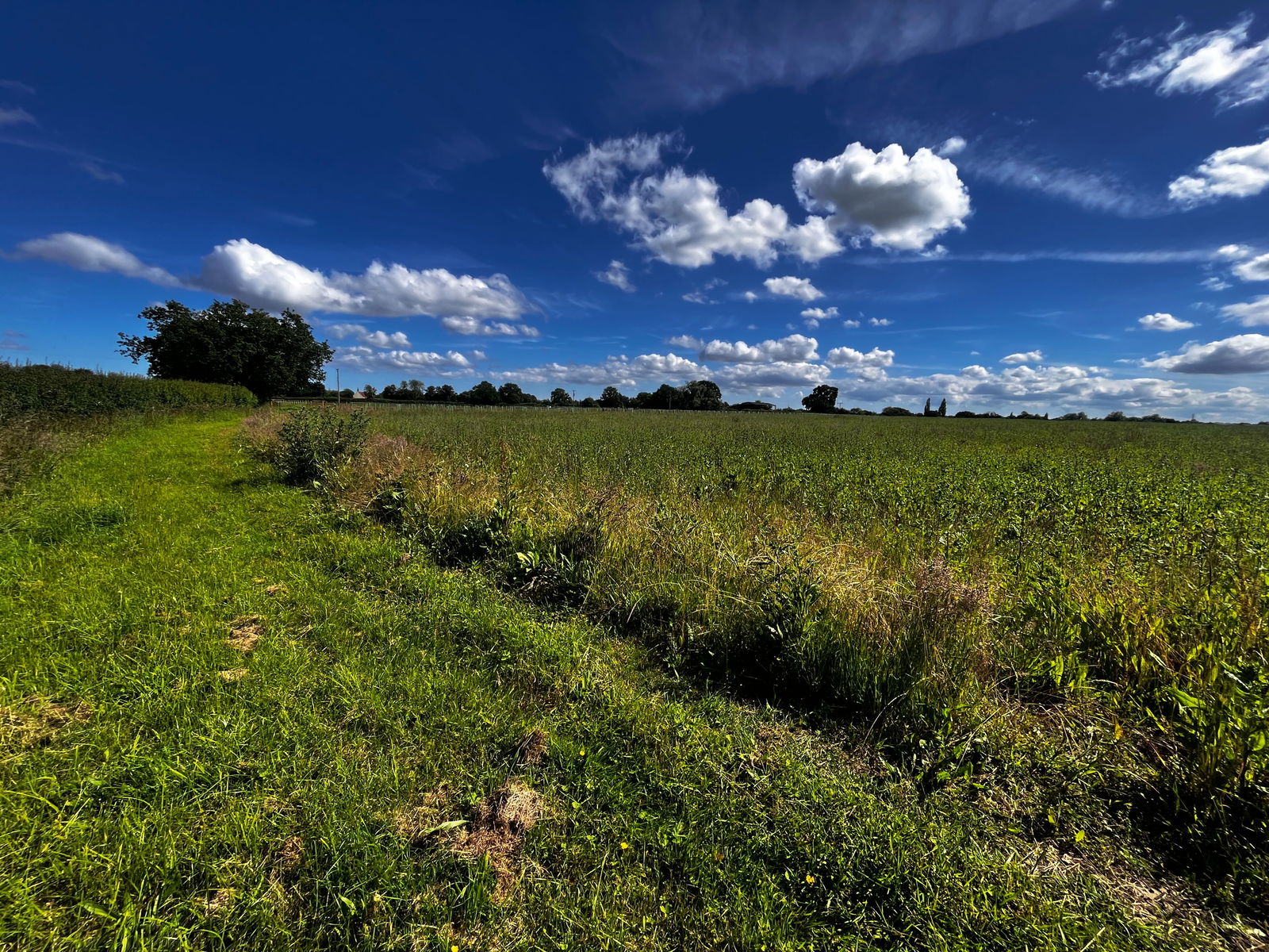 Land at Somersham, Nr Ipswich, Suffolk property photo